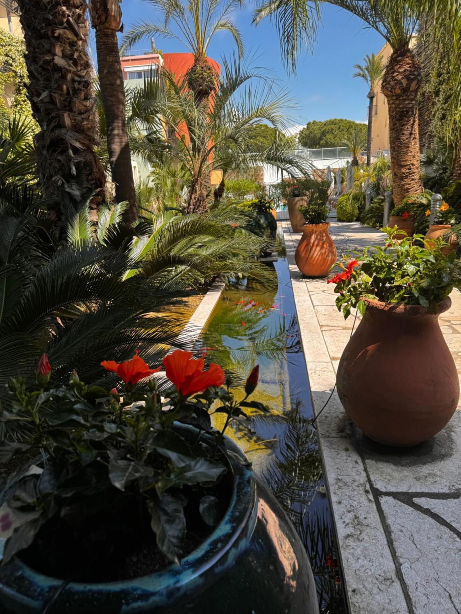 Port - Terrasse - Parking - Piscine Antibes